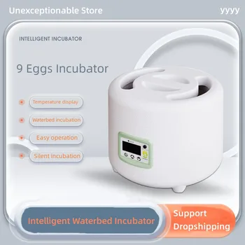 Мини-инкубатор для яиц 9 яиц Автоматический Инкубационный брудер С контролем температуры Фермерская птица Перепел Курица Машина для выведения цыплят на птицефабрике